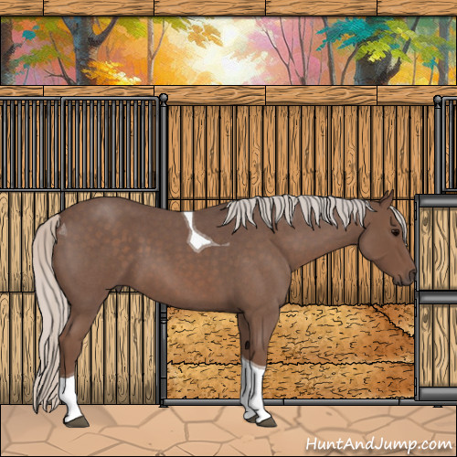Horse Color:Silver Blue Roan Tobiano 