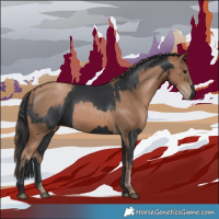 Horse Color:Black and Black Pearl