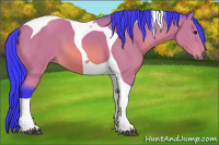 Horse Color:Watercolor Bay Sabino Tobiano 