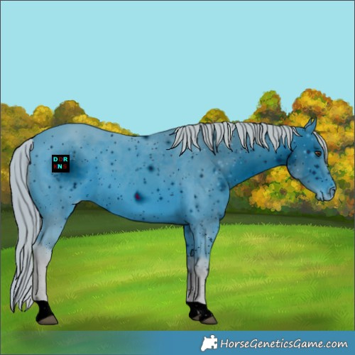 Horse Color:ERROR: UNKNOWN ANOMALY