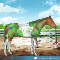 Horse Color:Chestnut Tobiano