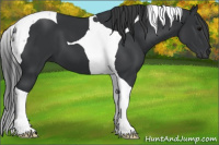 Horse Color:Black Tobiano 