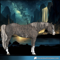 Horse Color:Black and Silver Black