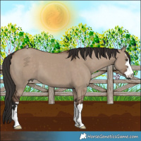 Horse Color:Liver Red Dun 