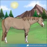 Horse Color:Liver Red Dun