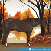 Horse Color:Liver Chestnut 