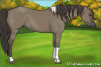 Horse Color:Smoky Grullo Tobiano 