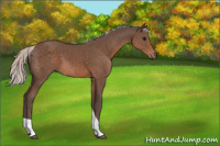 Horse Color:Silver Black Sabino Tobiano 