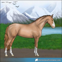 Horse Color:Chestnut Pearl 