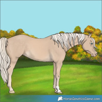 Horse Color:Cremello 