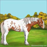 Horse Color:Silver Brown Tobiano Blanket 