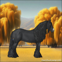 Horse Color:Black  and Black Frame 