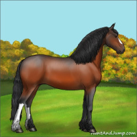Horse Color:Brown 