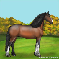 Horse Color:Brown 