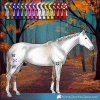 Horse Color:Gray Red Dun 