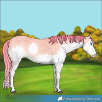 Horse Color:Watercolor Liver Red Dun Splash 