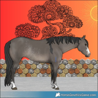 Horse Color:Grullo Rabicano 