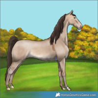 Horse Color:Amber Champagne Dun 