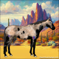 Horse Color:Void Bay Ice Splash 