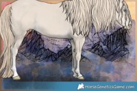 Horse Color:Smoky Creme 