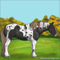Horse Color:Liver Chestnut Tobiano 