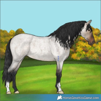 Horse Color:Brown Roan Dun 
