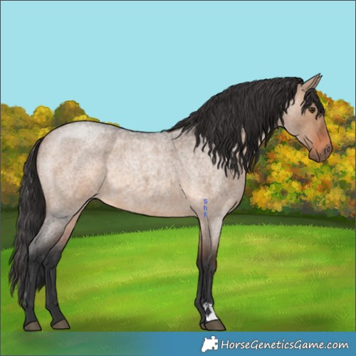 Horse Color:Brown Roan Dun 