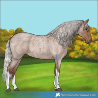 Horse Color:Silver Blue Roan Tobiano 