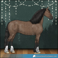 Horse Color:Liver Red Dun Brindle 