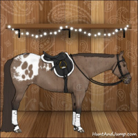 Horse Color:Liver Red Dun Appaloosa Brindle 
