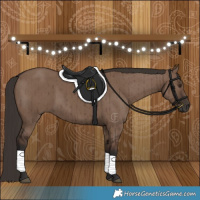 Horse Color:Liver Red Dun Brindle 
