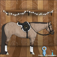 Horse Color:Liver Red Dun Brindle 