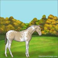 Horse Color:Classic Cream Champagne Tobiano 