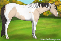 Horse Color:Sable Champagne Dun Tobiano 