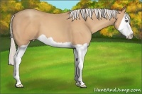 Horse Color:Silver Amber Champagne Splash