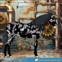 Horse Color:White Spotted Brown Onyx Appaloosa