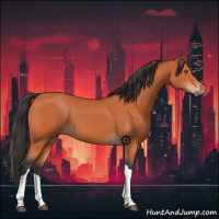 Horse Color:Bay Tobiano 