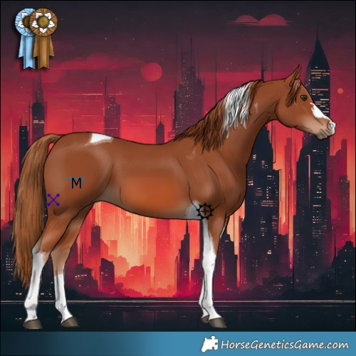 Horse Color:Chestnut Tobiano 