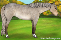 Horse Color:Silver Smoky Grullo Roan 