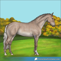 Horse Color:Silver Grullo Roan