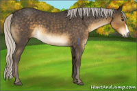 Horse Color:Silver Smoky Blue Roan