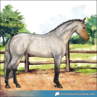 Horse Color:Silver Buckskin Roan Dun 