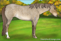 Horse Color:Chocolate Palomino Roan Dun 