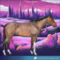 Horse Color:Bay Roan Tobiano 