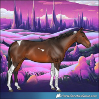 Horse Color:Brown Tobiano