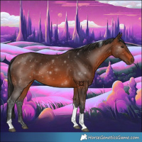 Horse Color:Brown Tobiano Rabicano