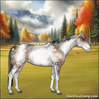 Horse Color:White Spotted Brown Rabicano