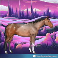 Horse Color:Bay Tobiano 