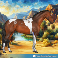 Horse Color:Bay Tobiano 