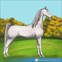 Horse Color:Platinum Perlino